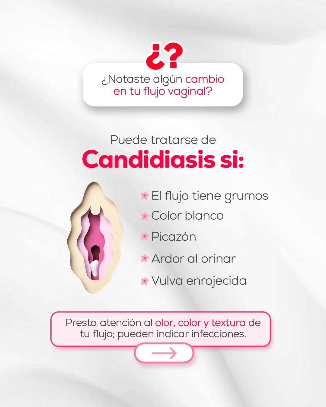 Dato curioso 3