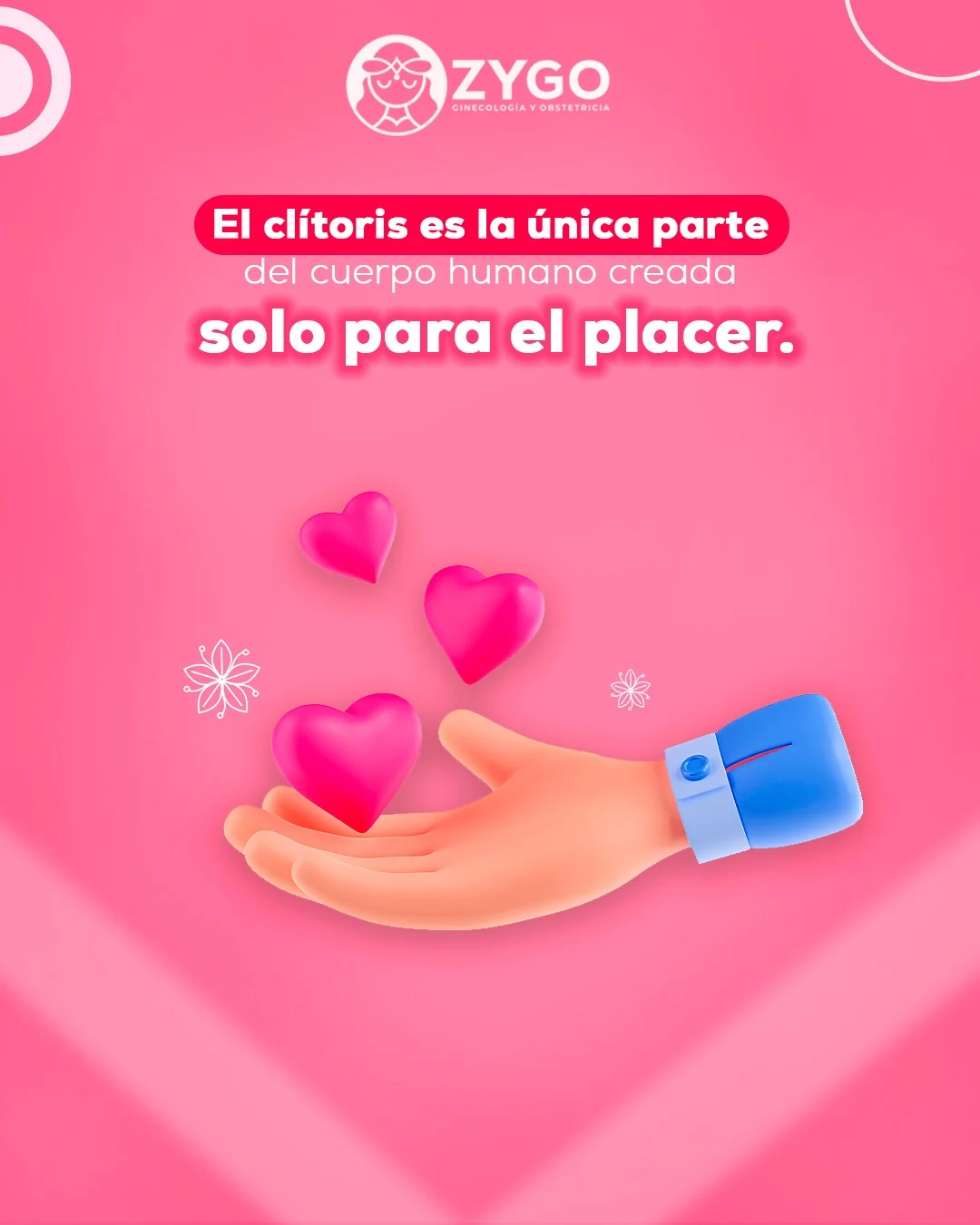 Dato curioso 7