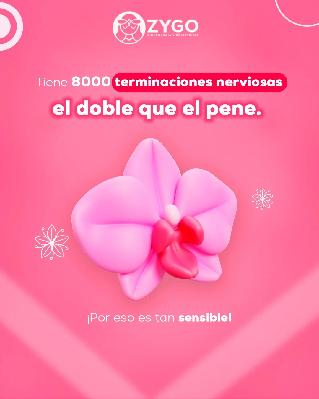 Dato curioso 8