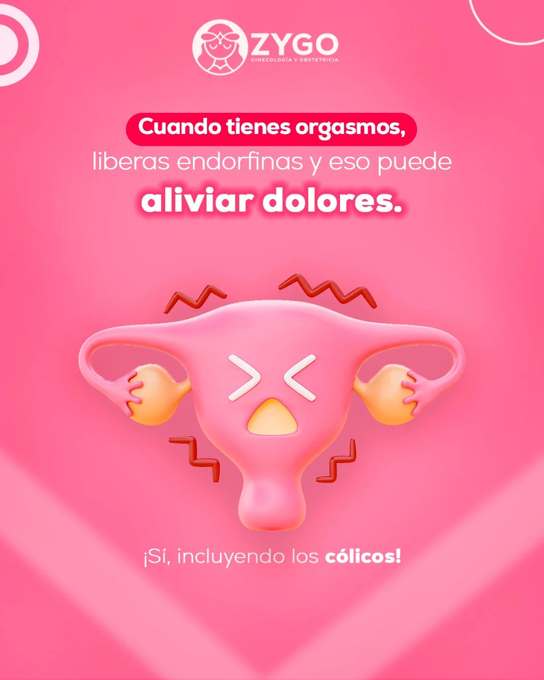 Dato curioso 9